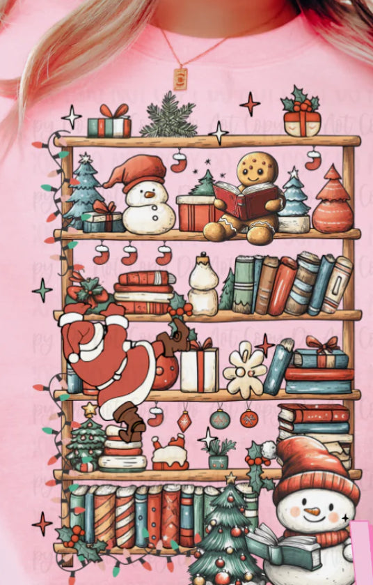 Santa books