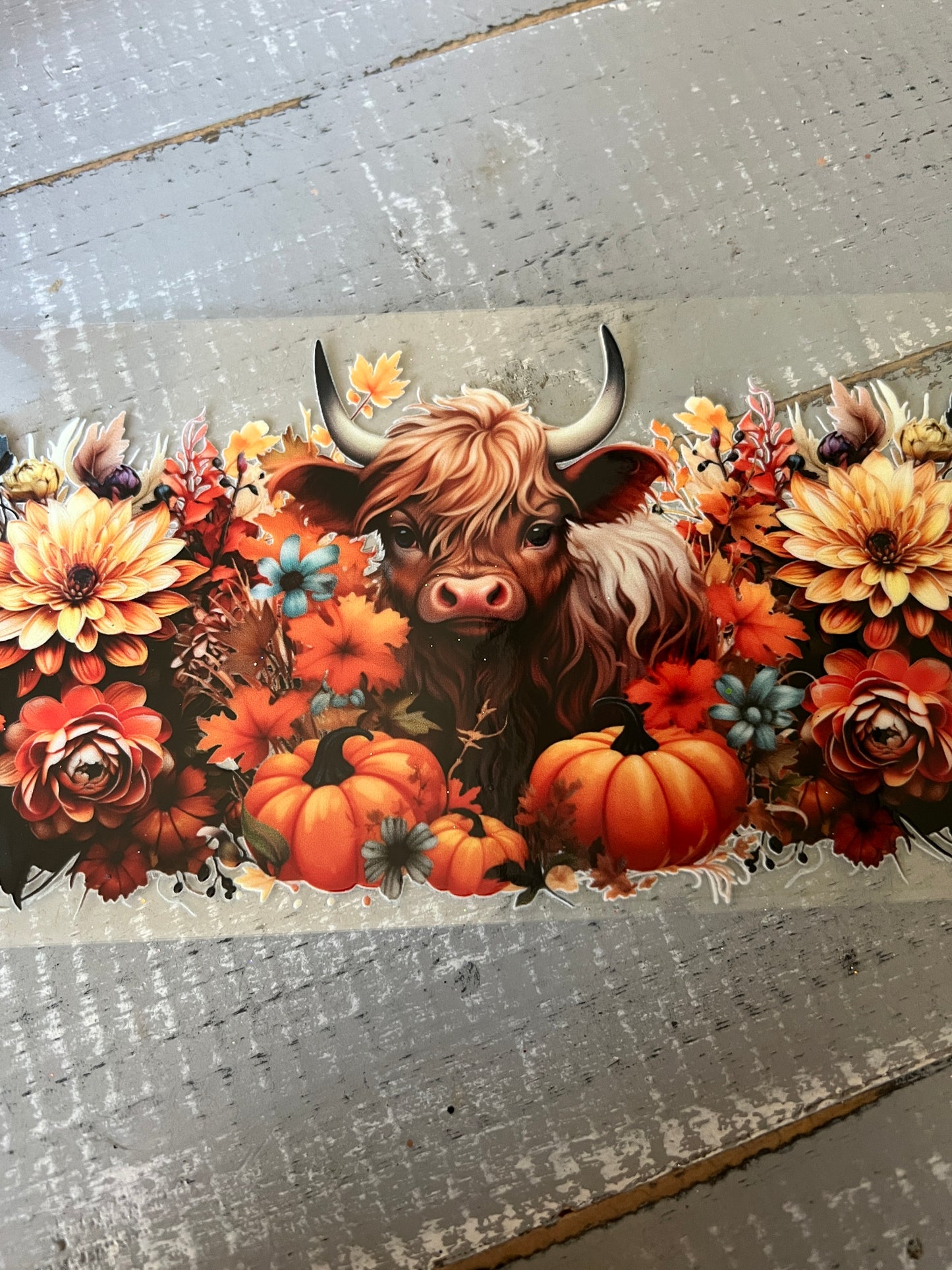 Cow pumpkin
