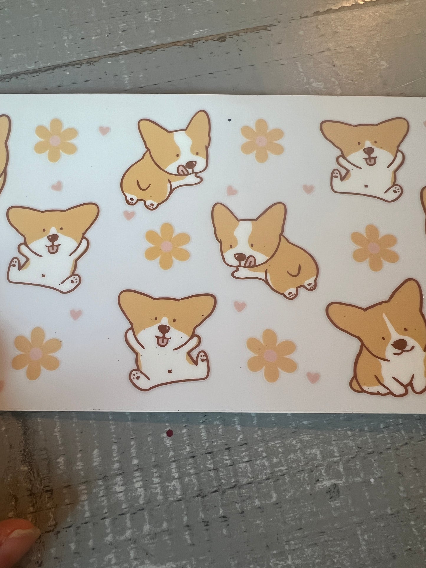 Corgi flowers
