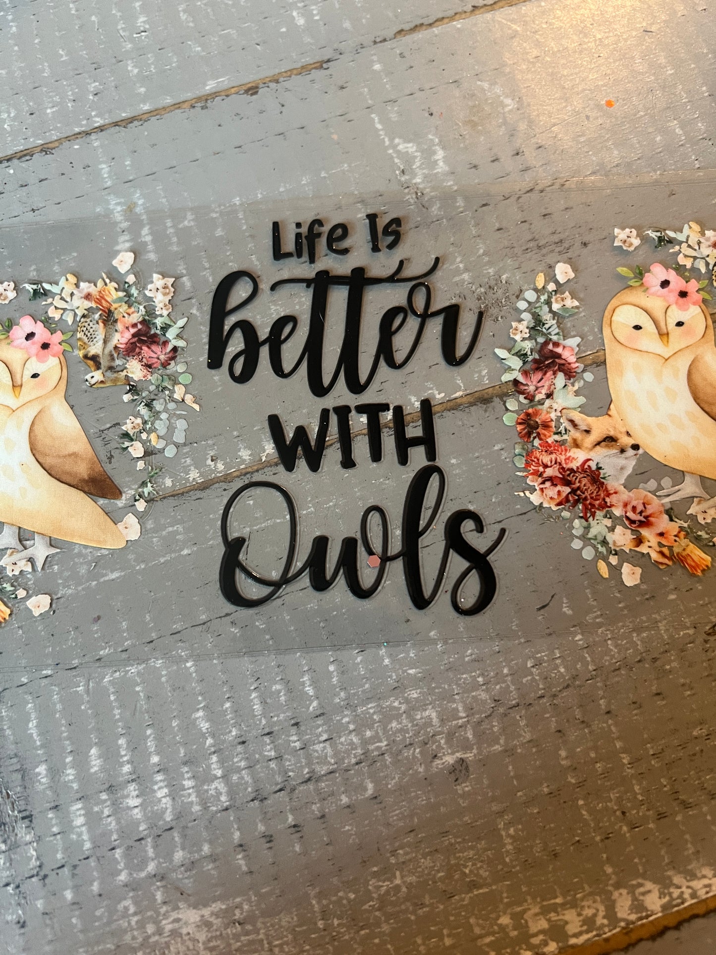 Life is better either way owls