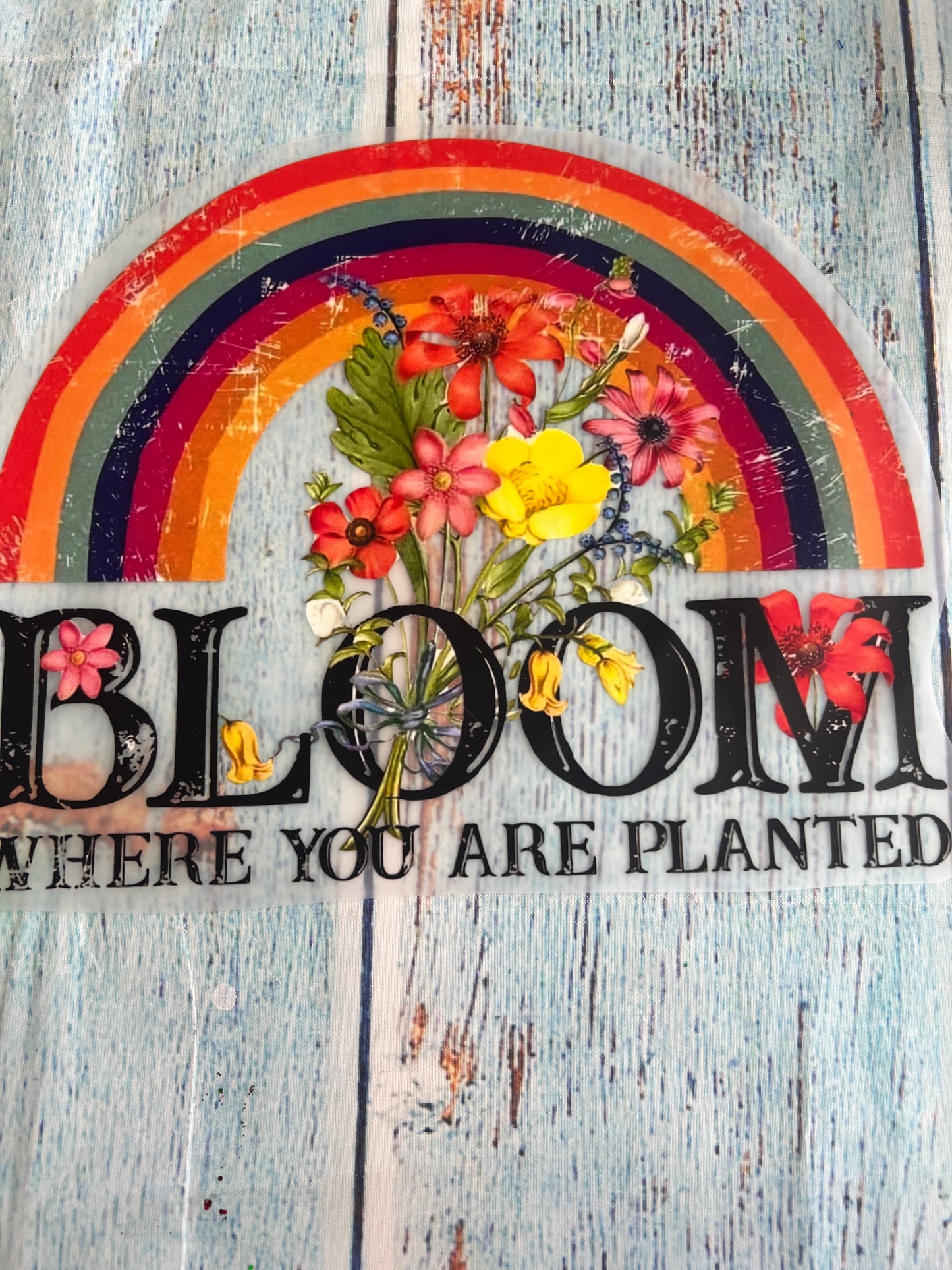 Bloom where you are planted