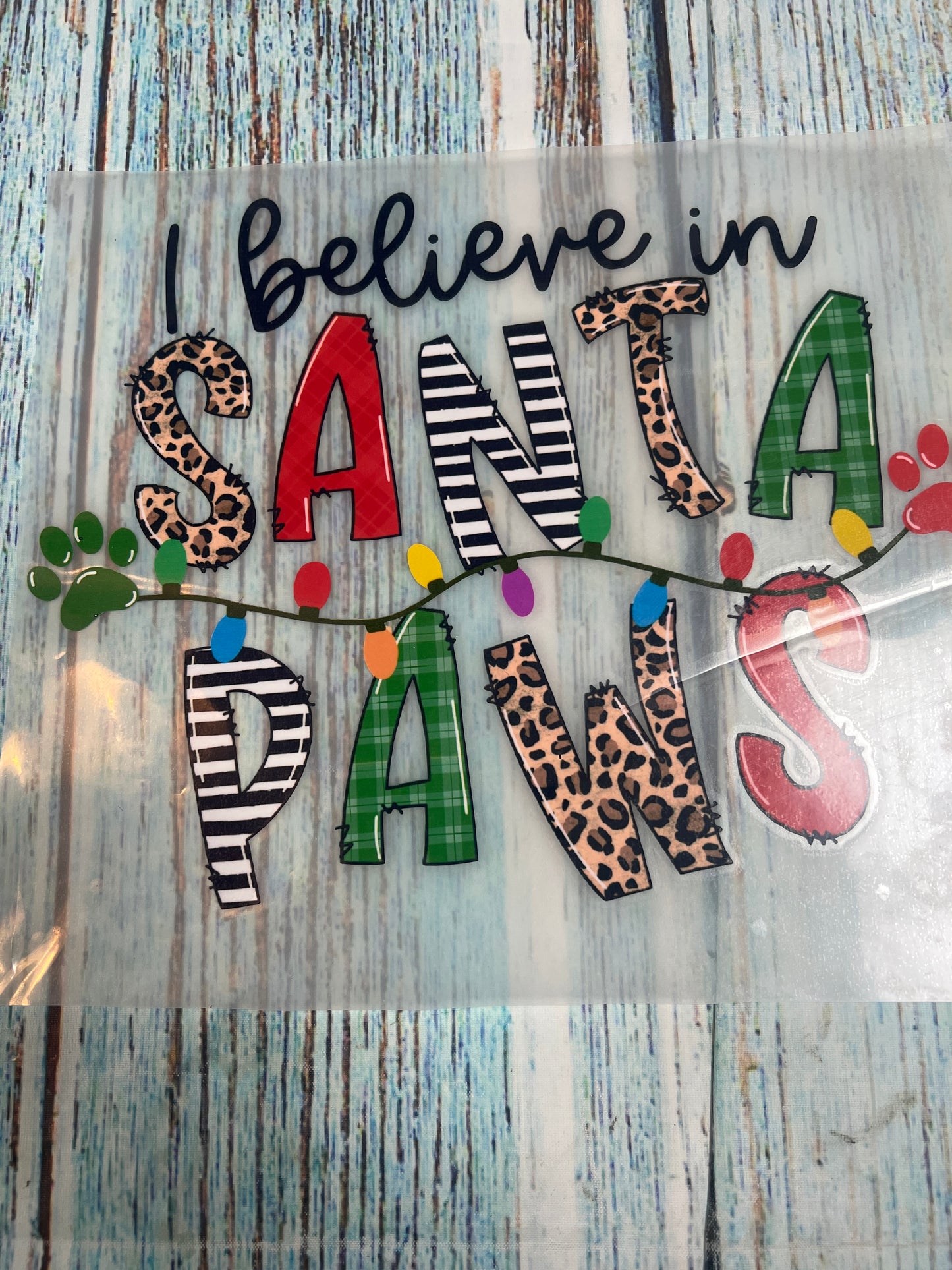 I believe in Santa paws