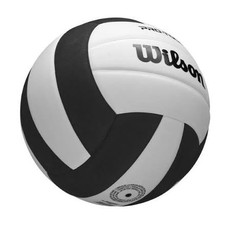 Local volleyball tops