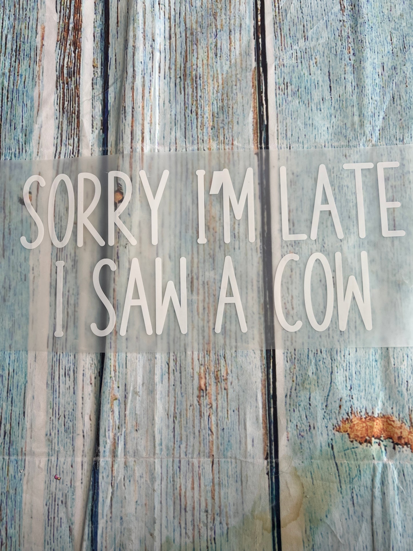 Sorry I’m late i saw a cow