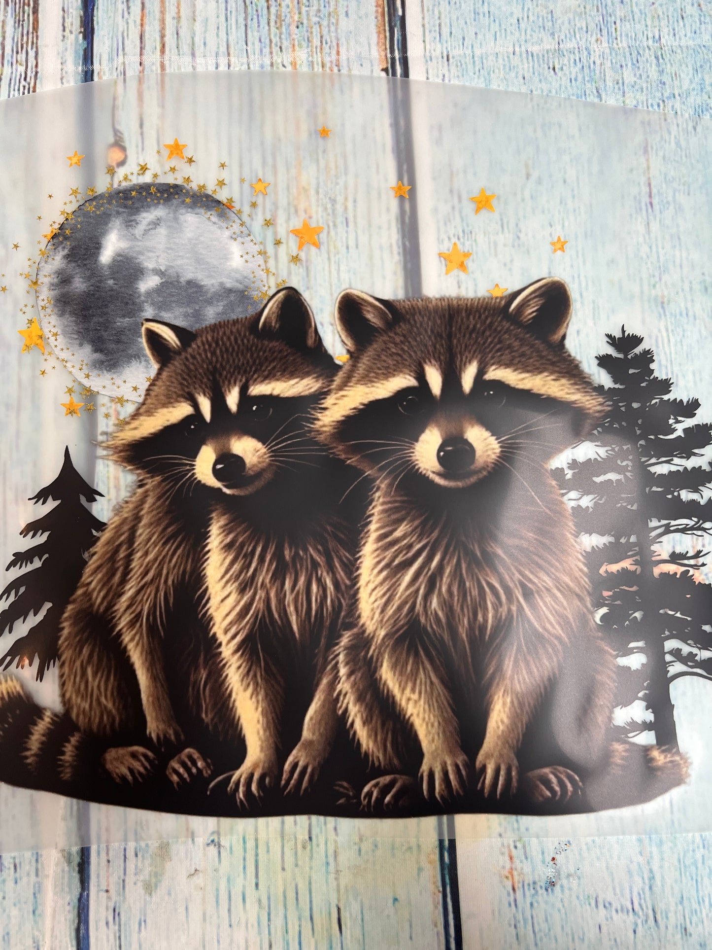 Raccoons