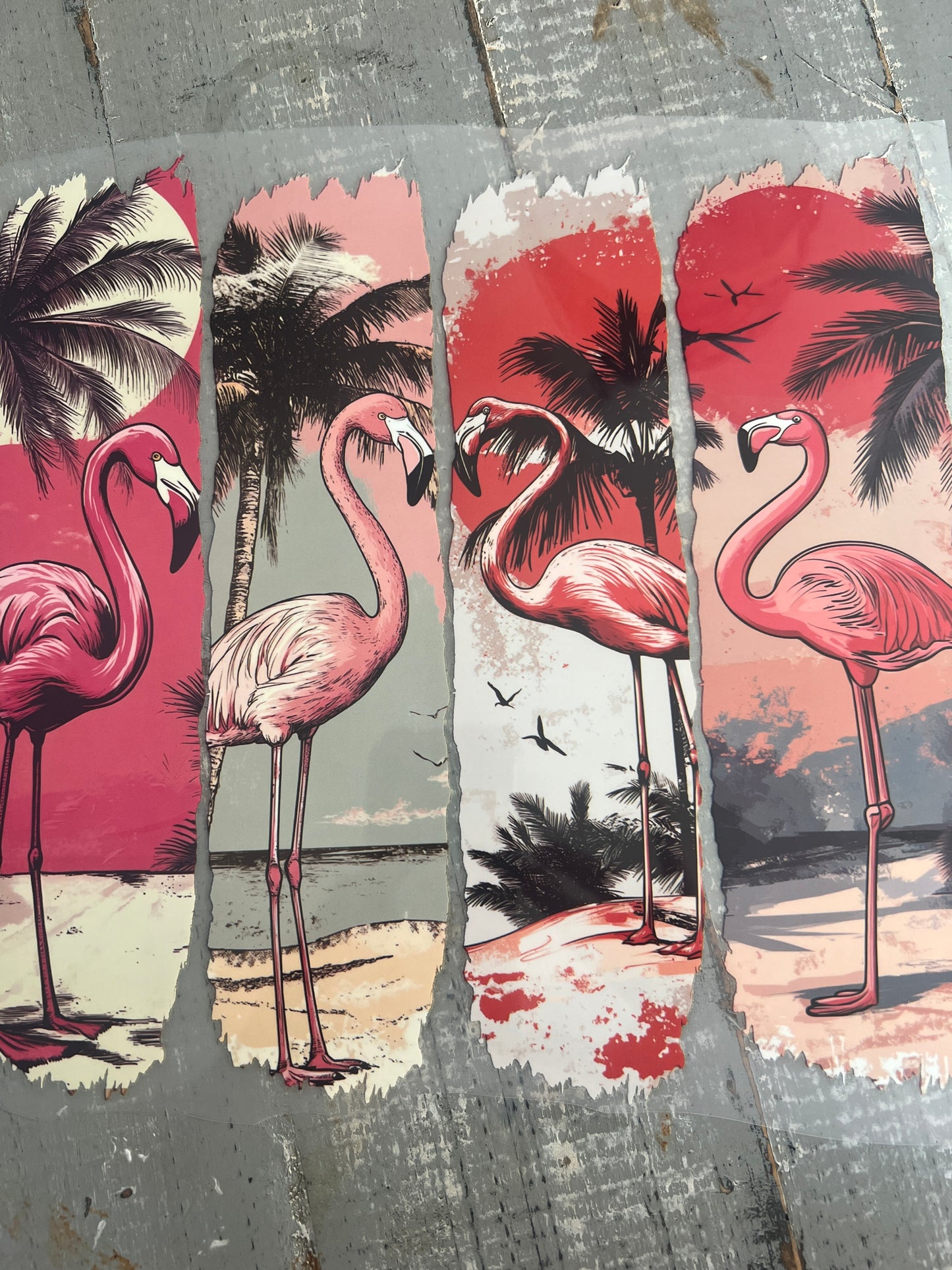 Flamingos