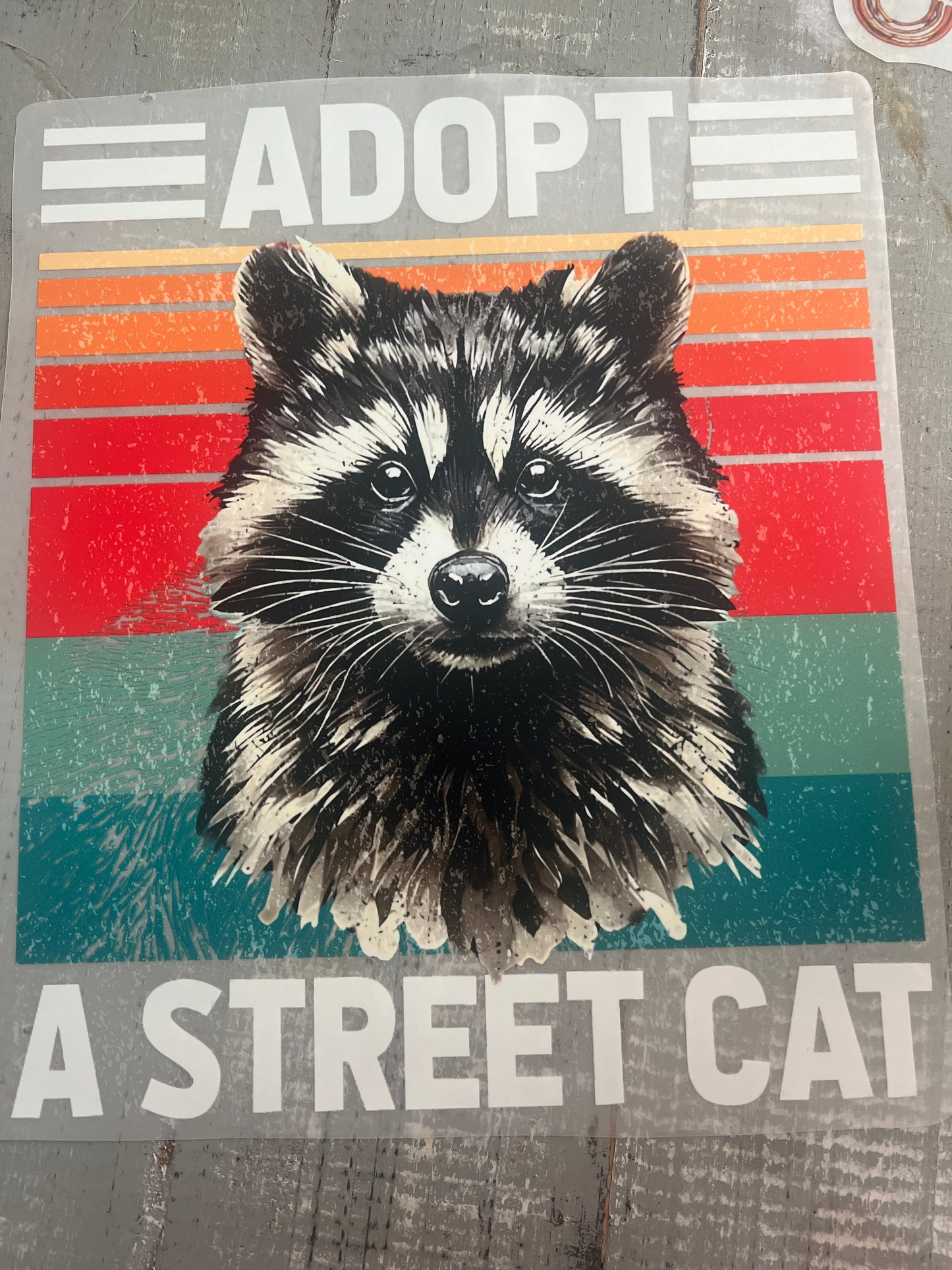 Adopt a street cat