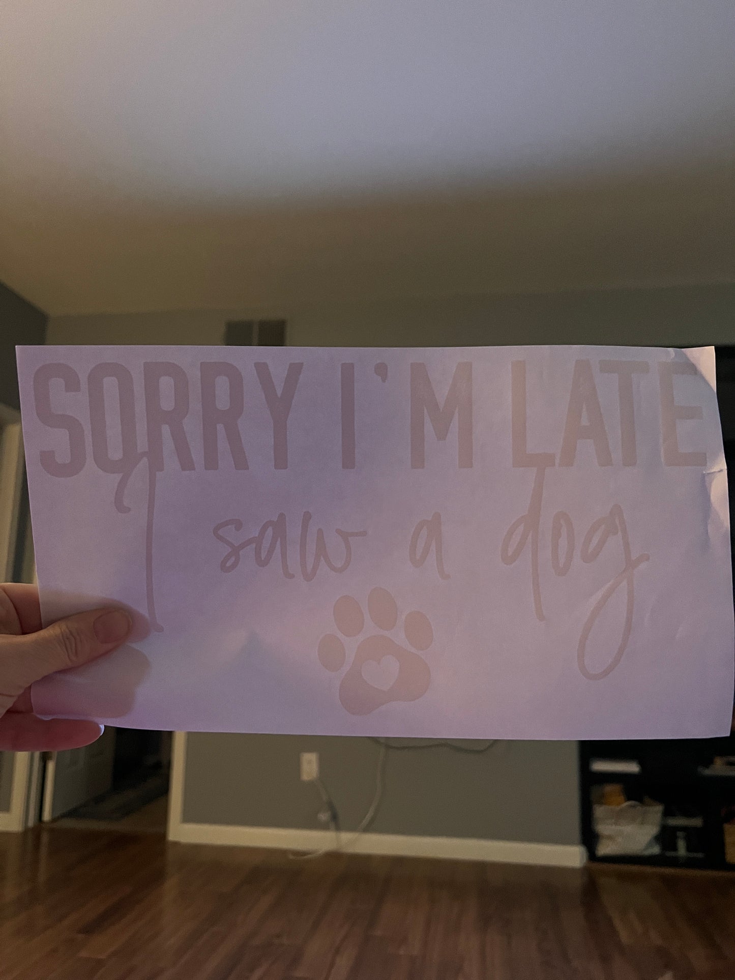 Sorry I’m late i saw a dog (white)