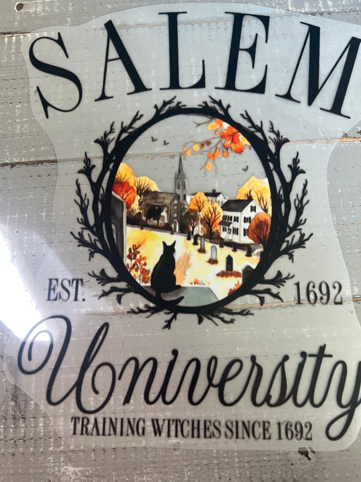 Salem university hocus pocus