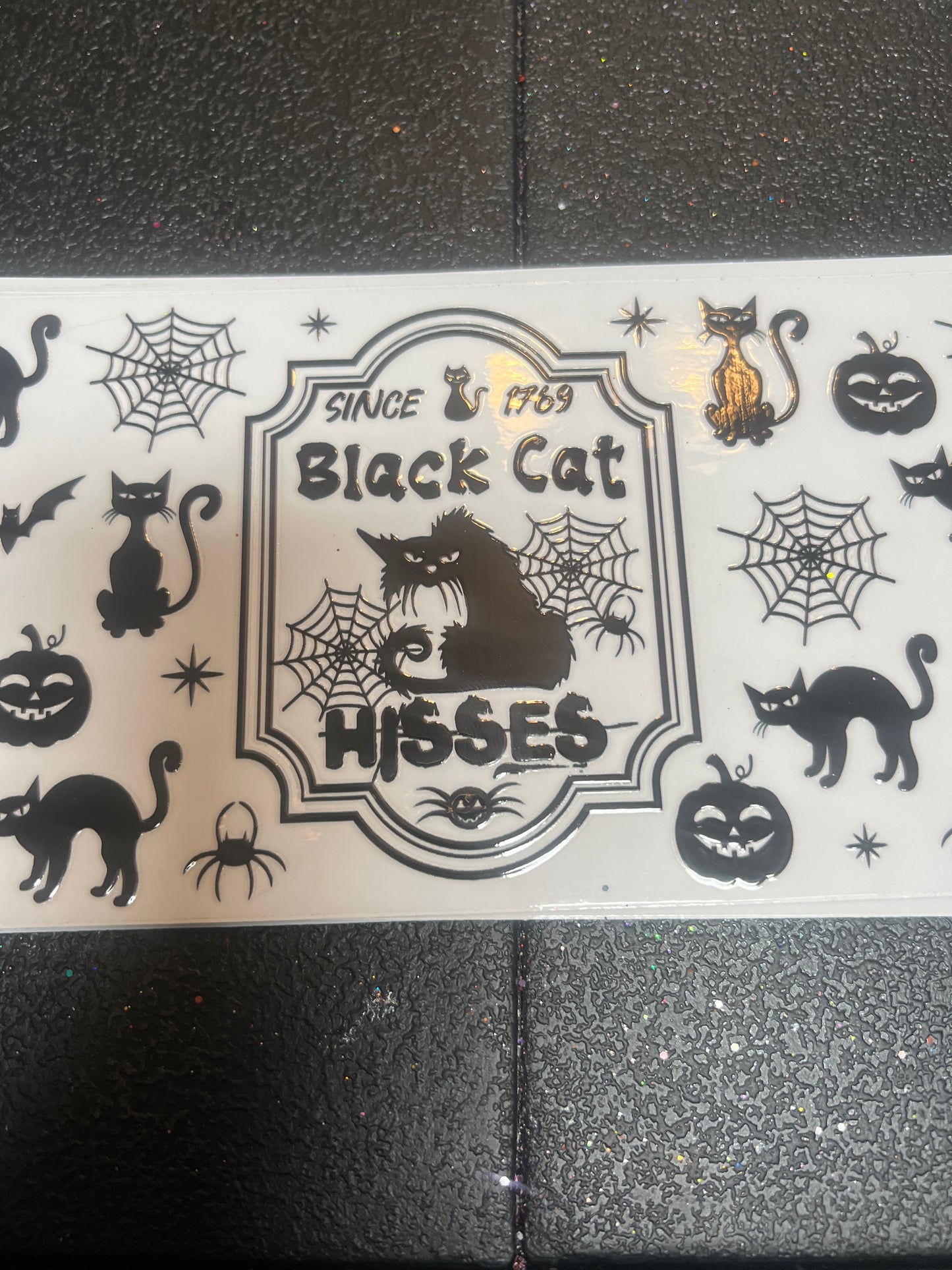 Black cat hisses