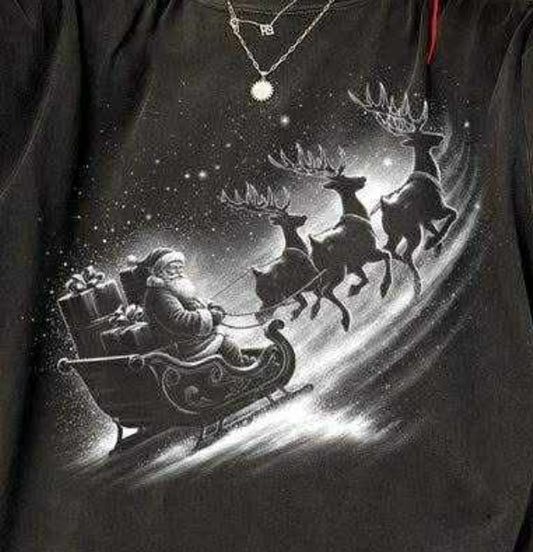 Sleigh and reindeer