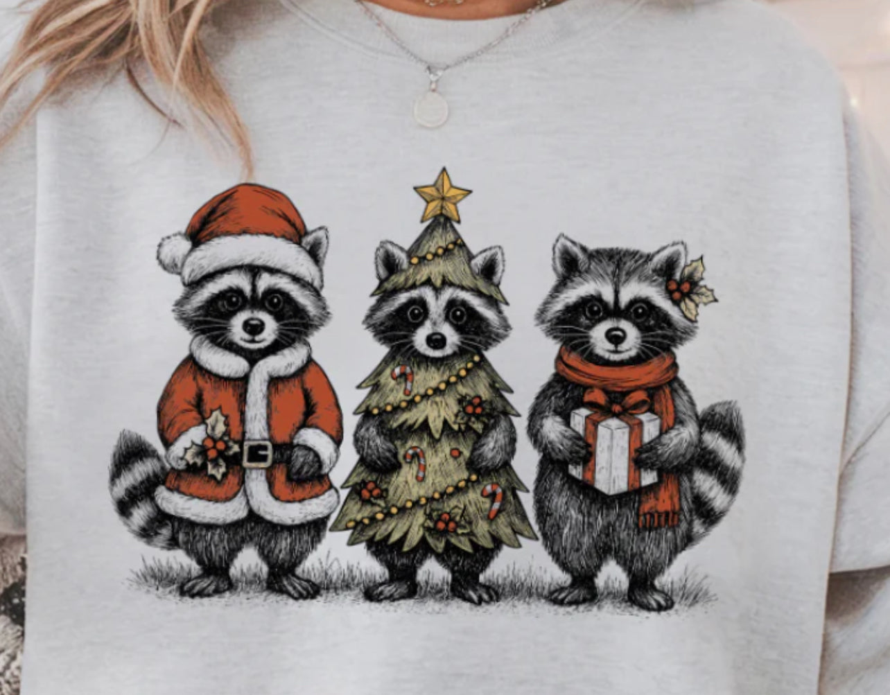 Holiday raccoons