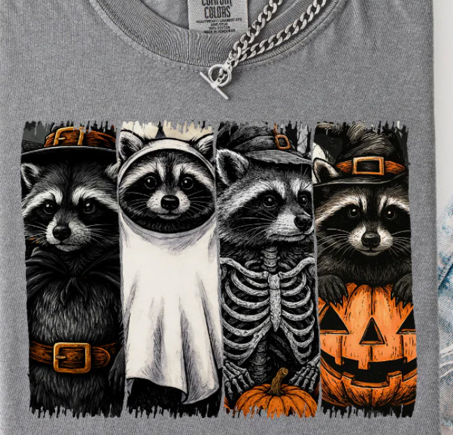 Halloween raccoons