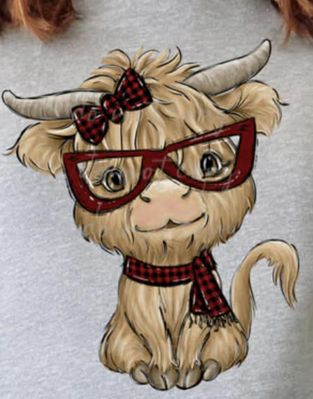 Highland cow