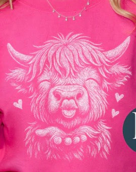 Cow kiss