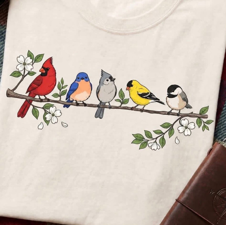 Birds