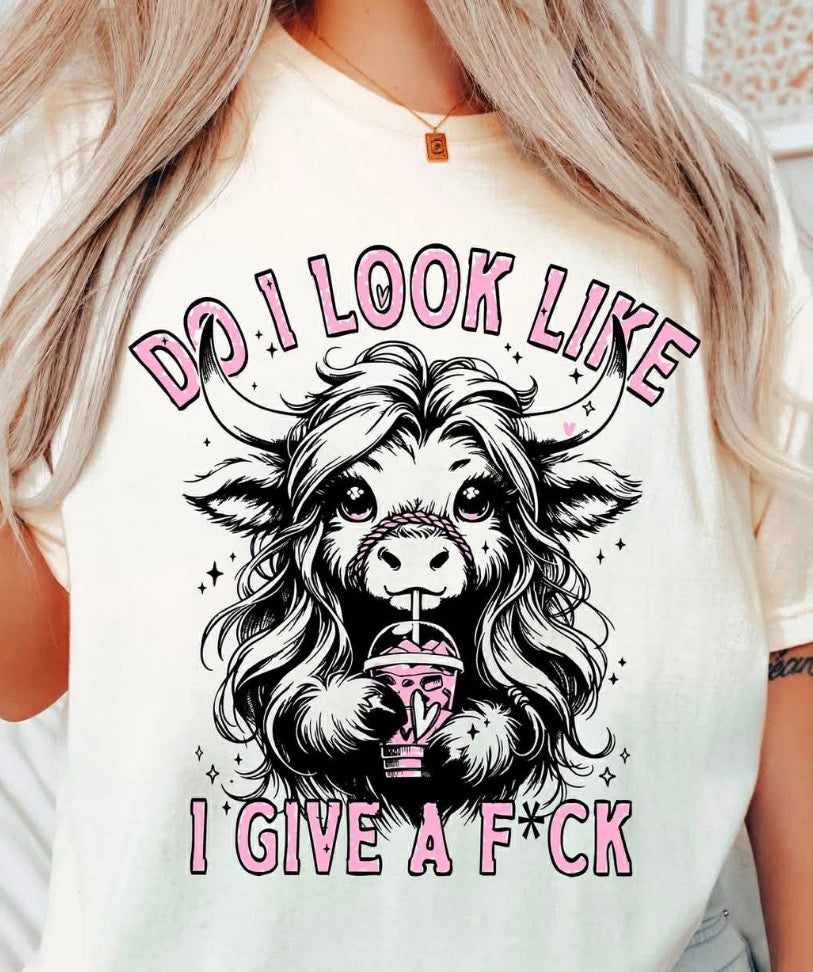 Do I look like a give a F*ck