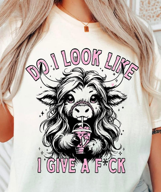 Do I look like a give a F*ck