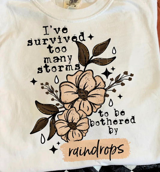 I’ve survived too many storms to be bothered by raindrops