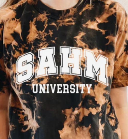 SAHM university