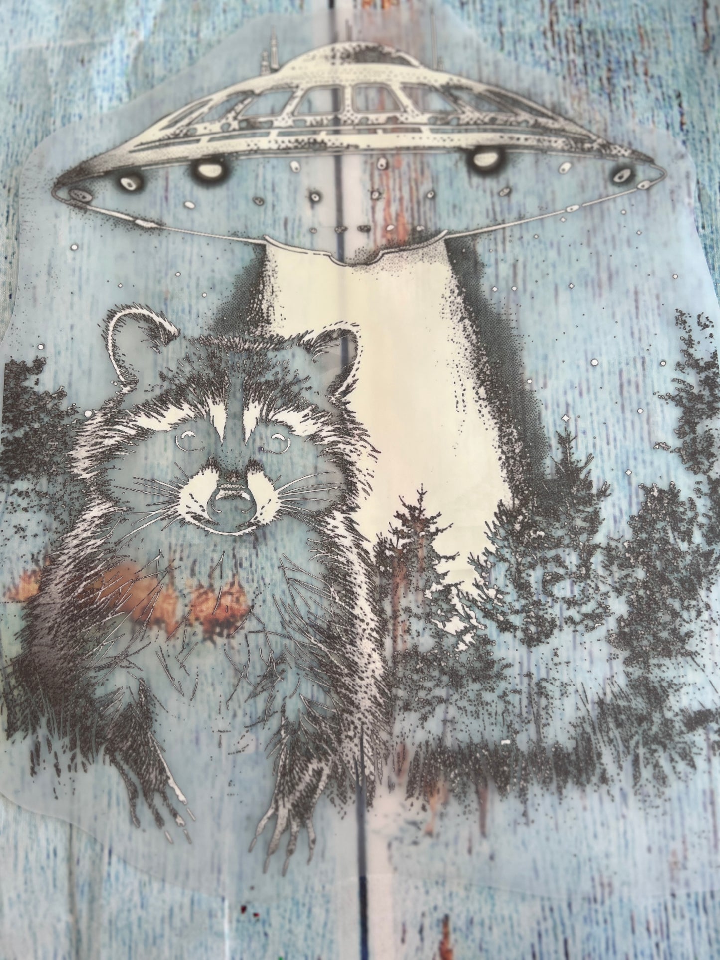 UFO raccoon