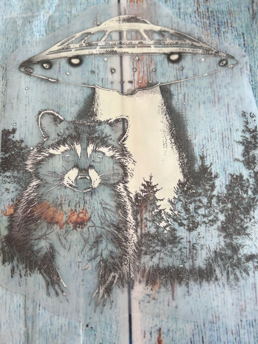 UFO raccoon