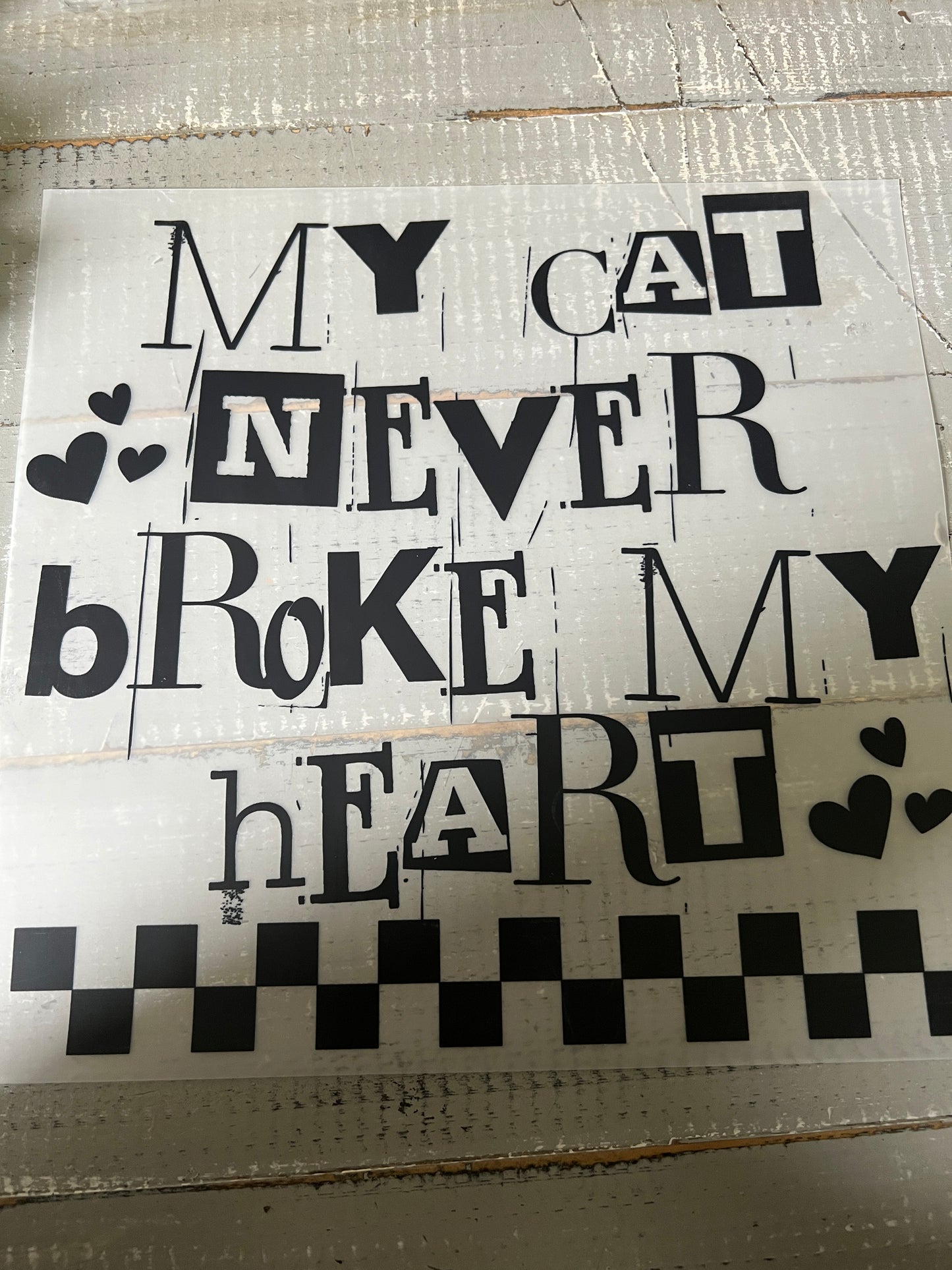 My cat never broke my heart