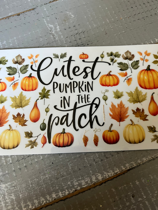 Cutest pumpkin in the patch