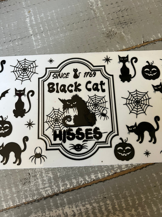 Black cat hisses