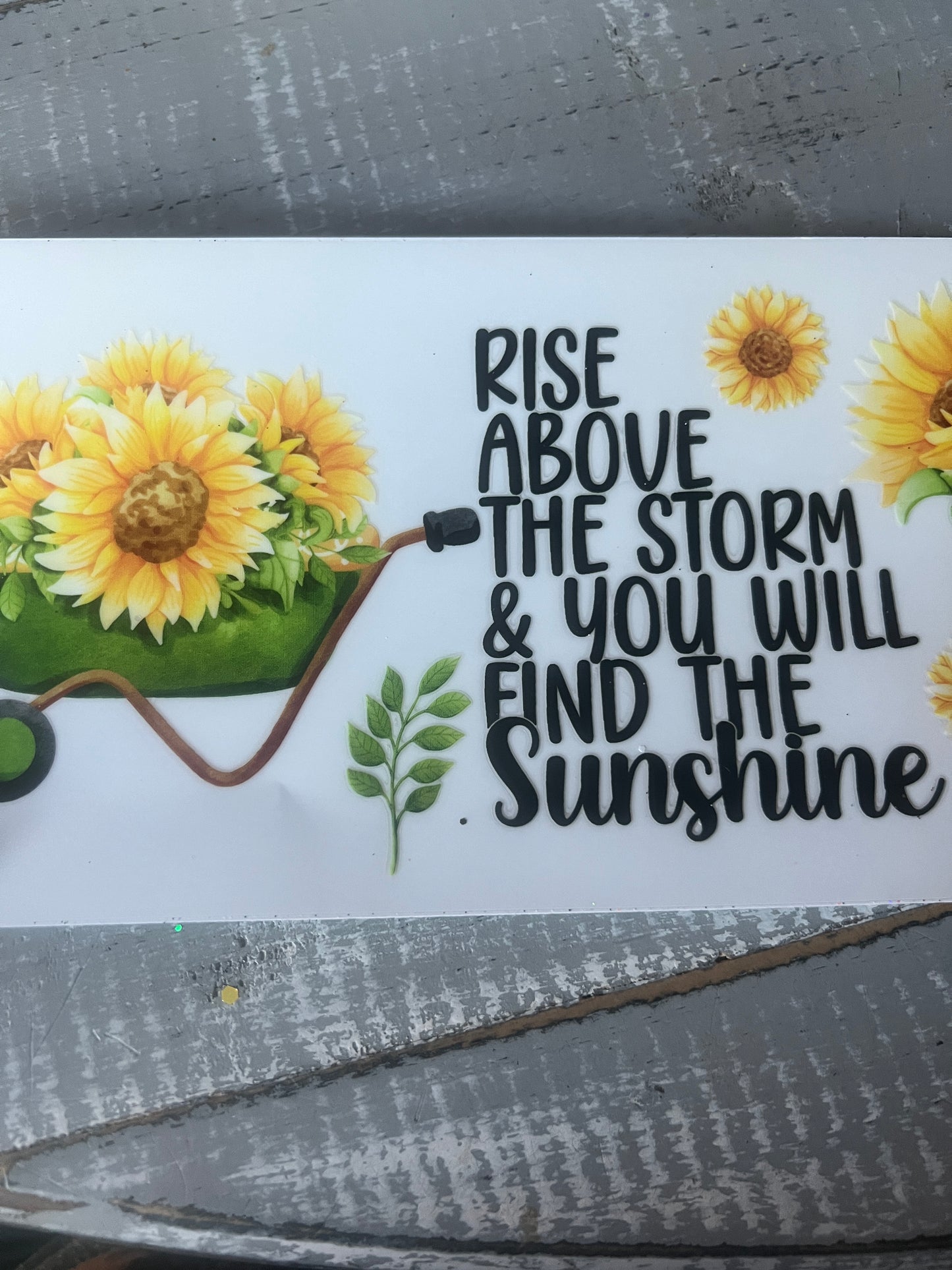 Rise above the storm