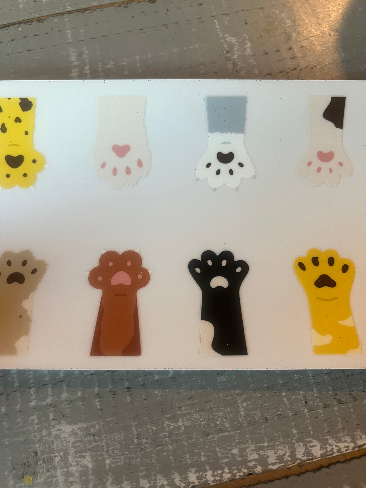 Kittie paws multi color