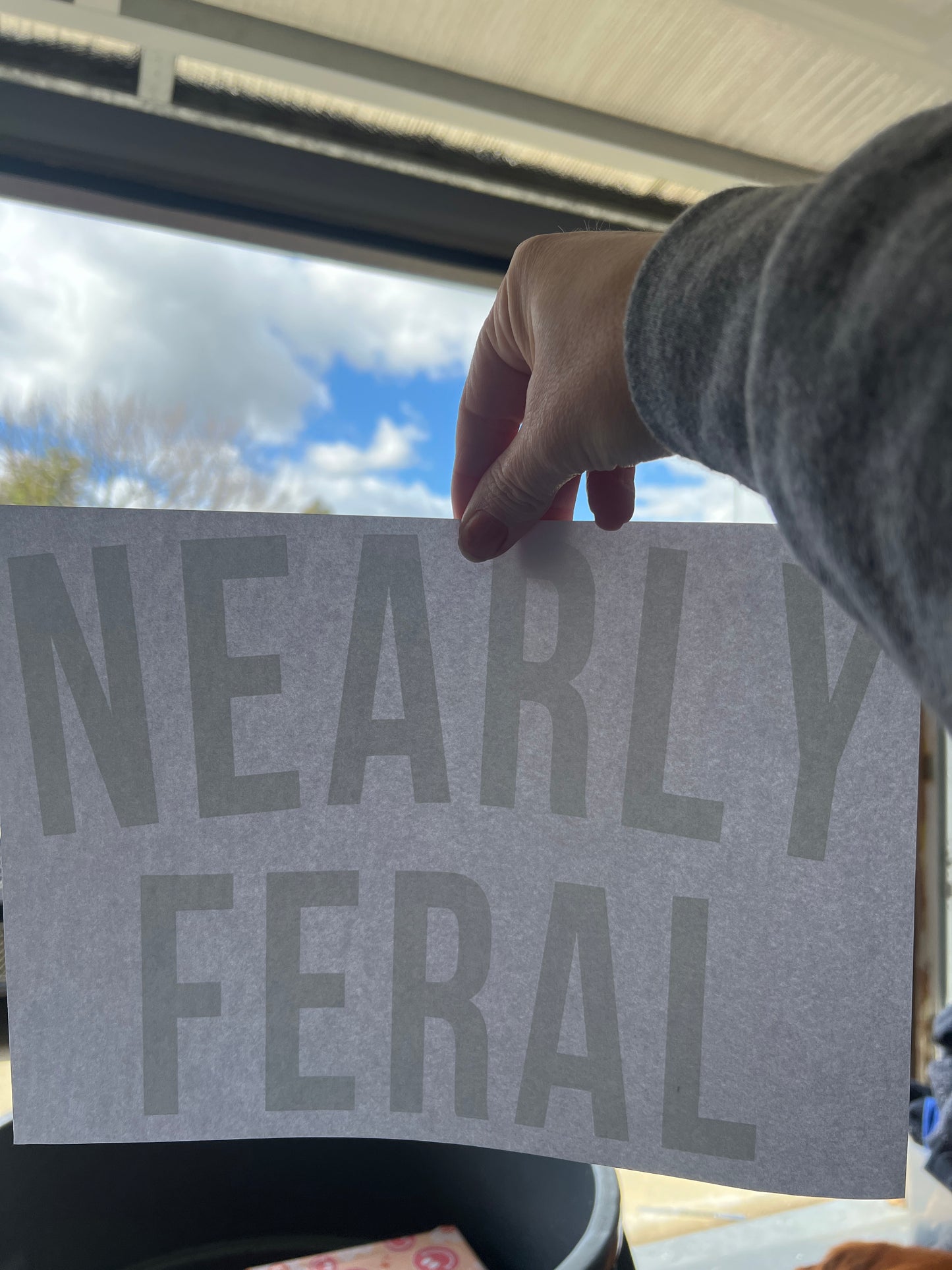 Nearly feral (white)