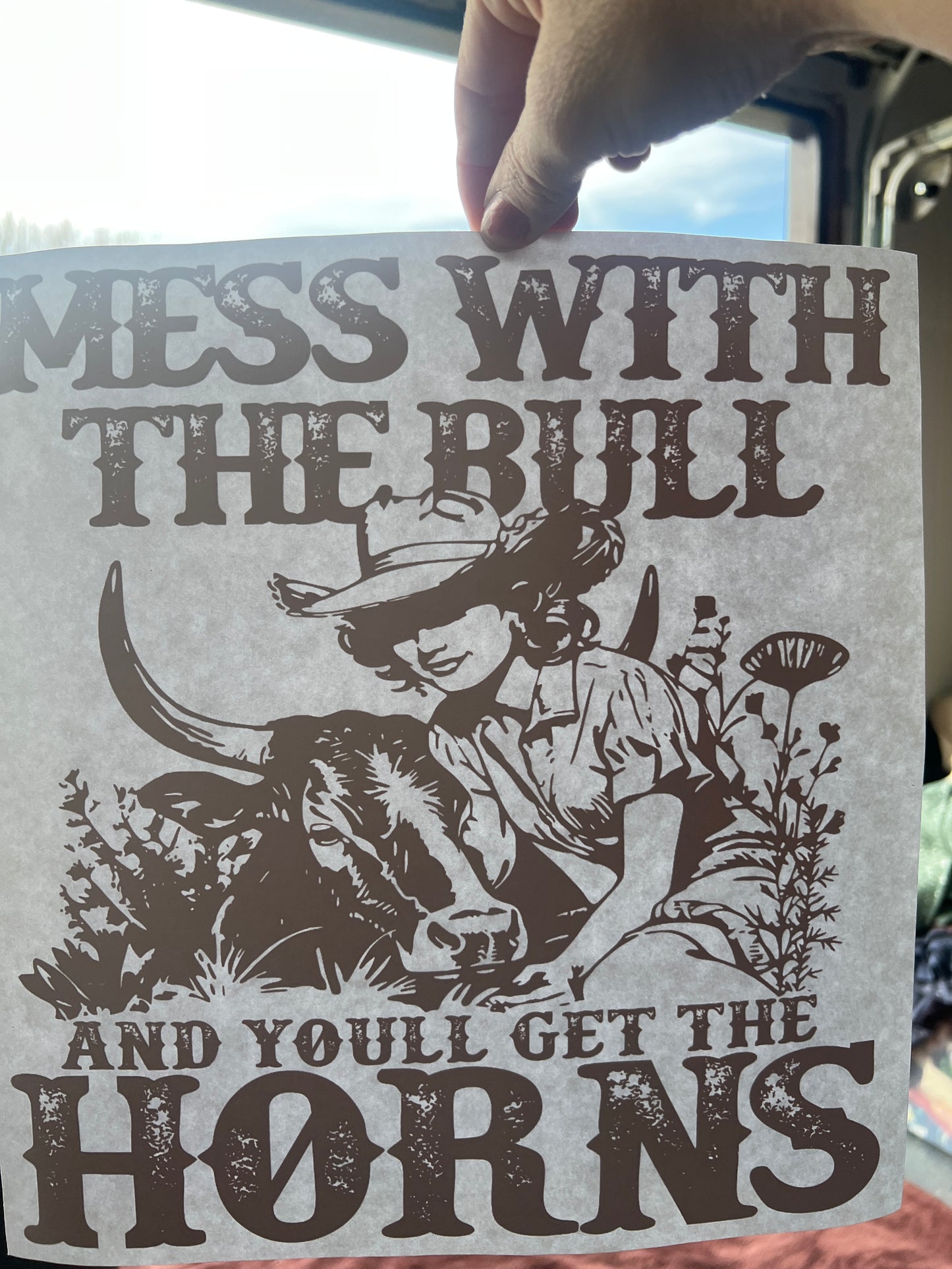 Mess with the bull and you’ll get the horns (dark brown )