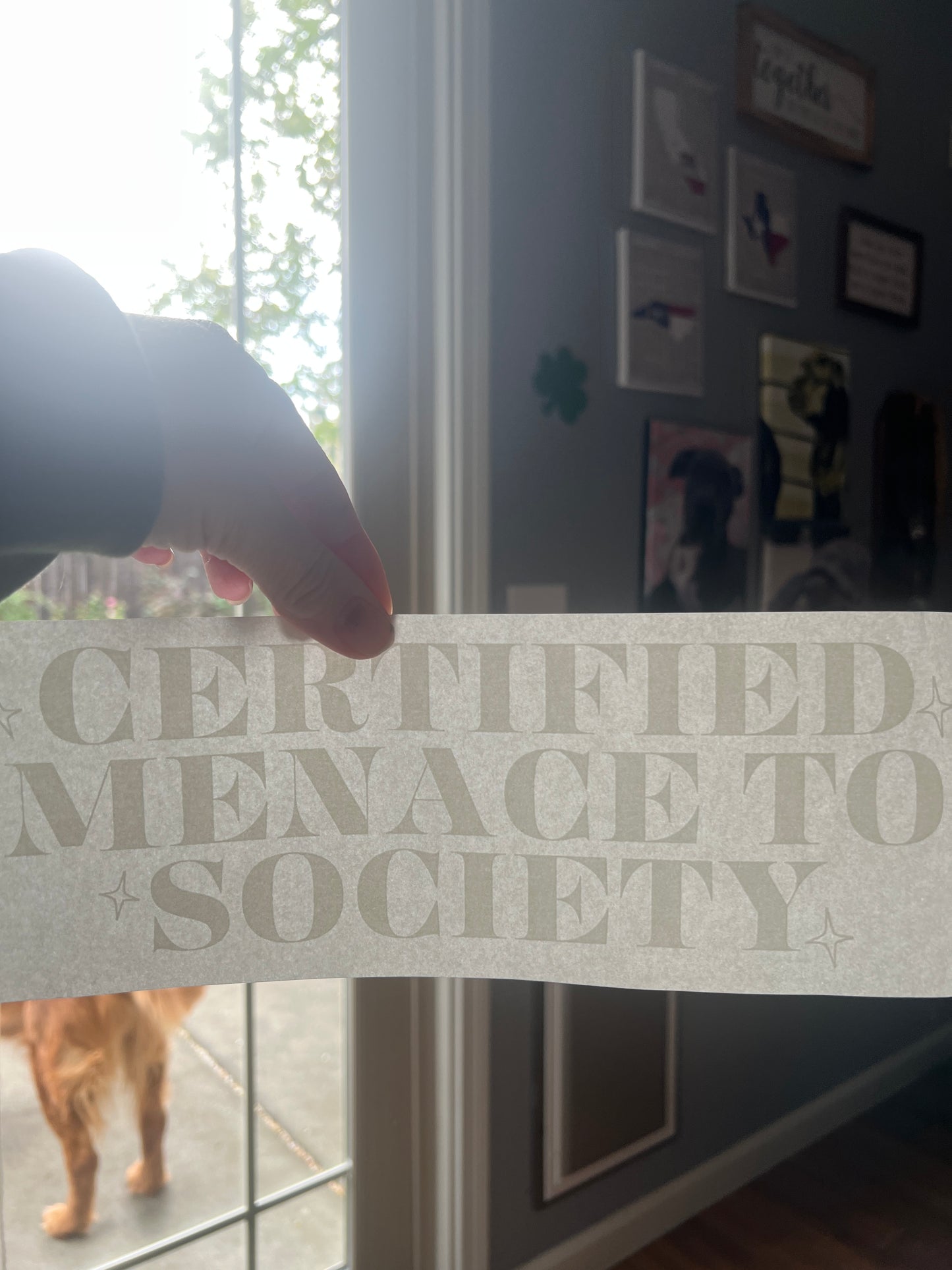 Certified menace to society (white)