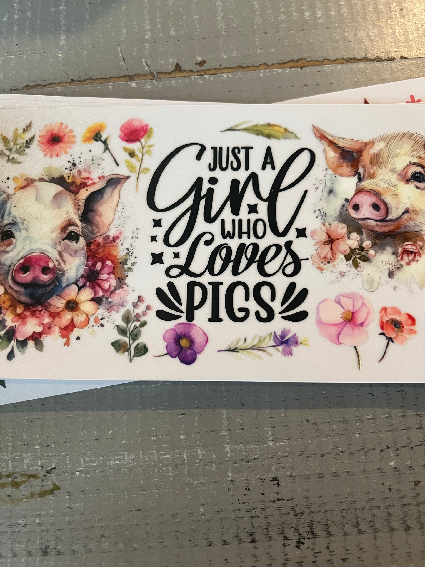 Just a girl who loves pigs