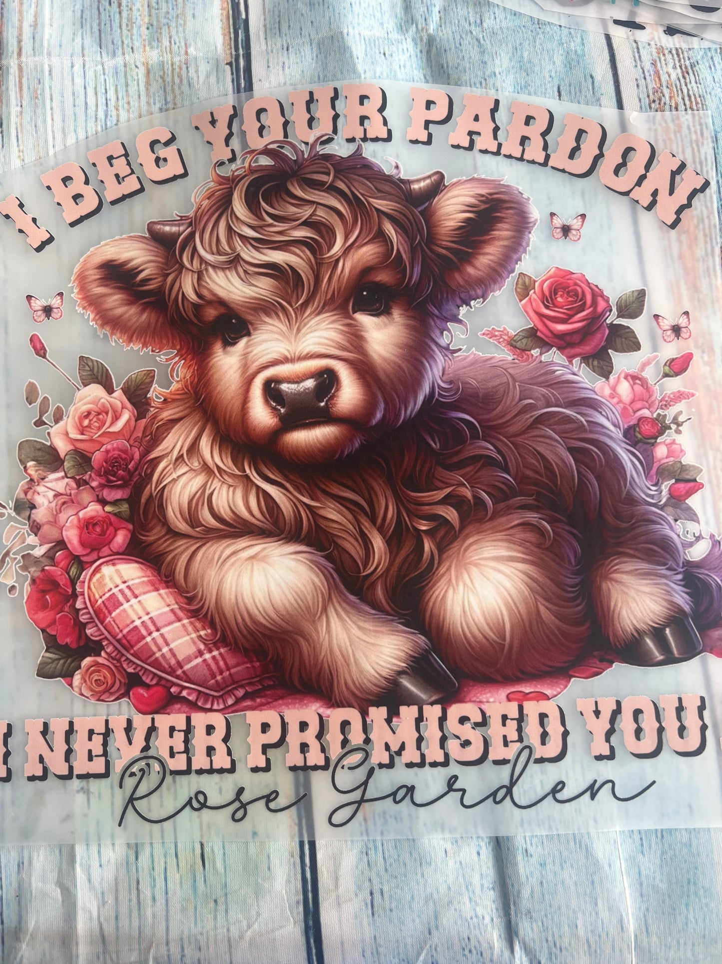 I beg your pardon i never promised you a rose garden