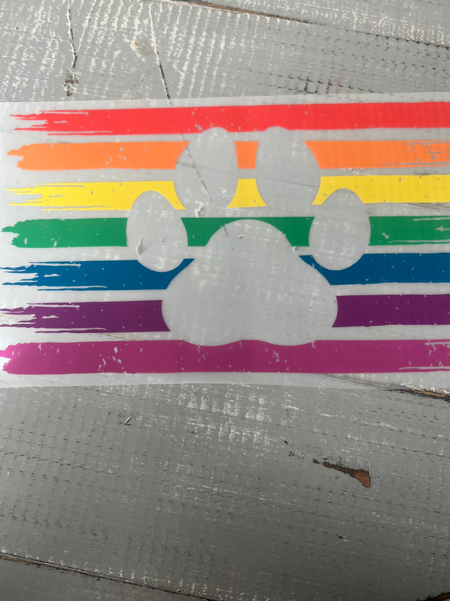 Rainbow paw