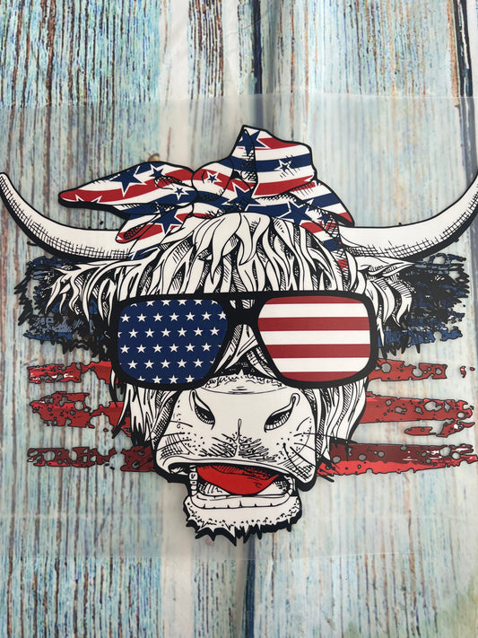 USA cow