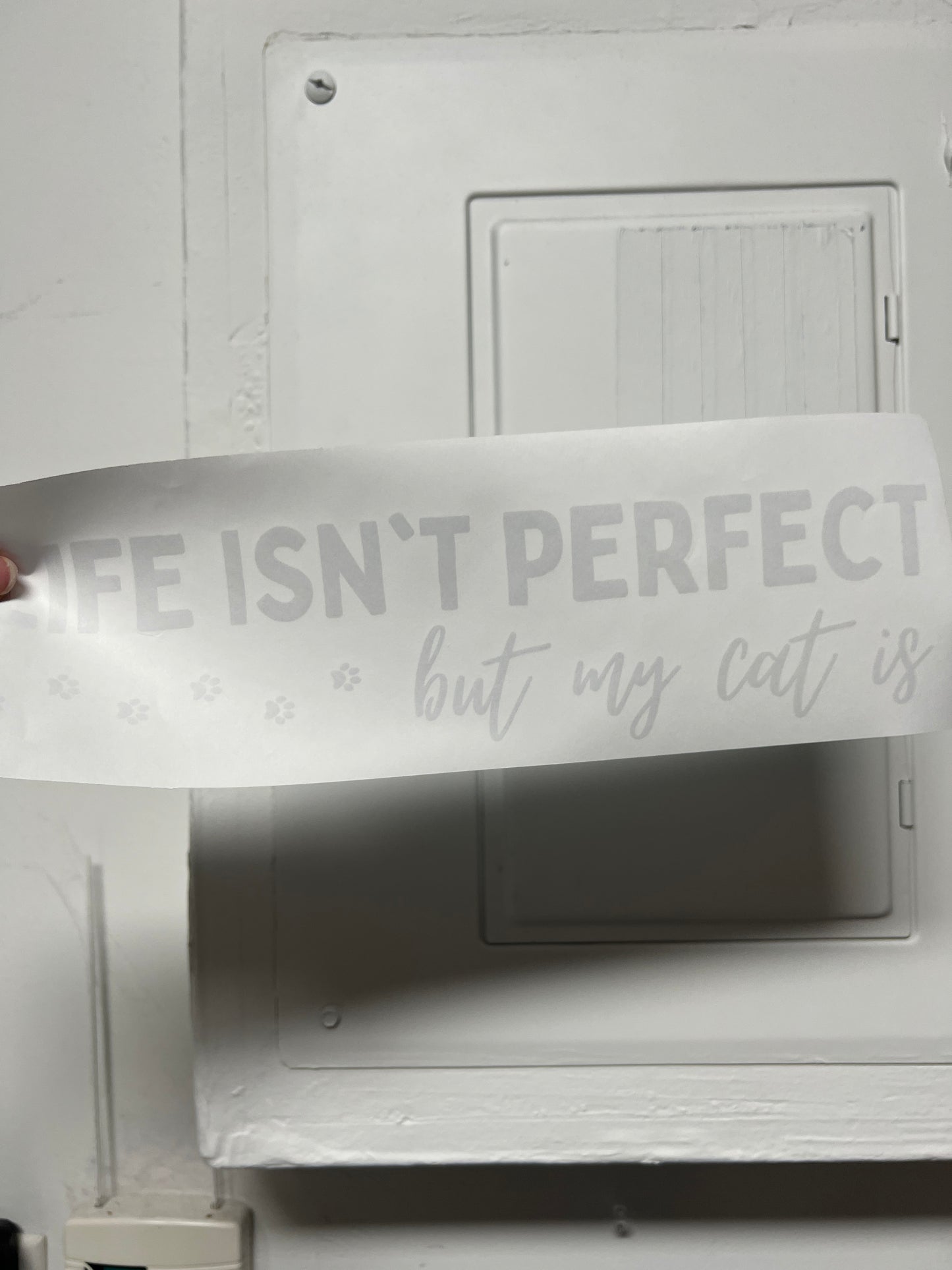 Life isn’t perfect but my cat is