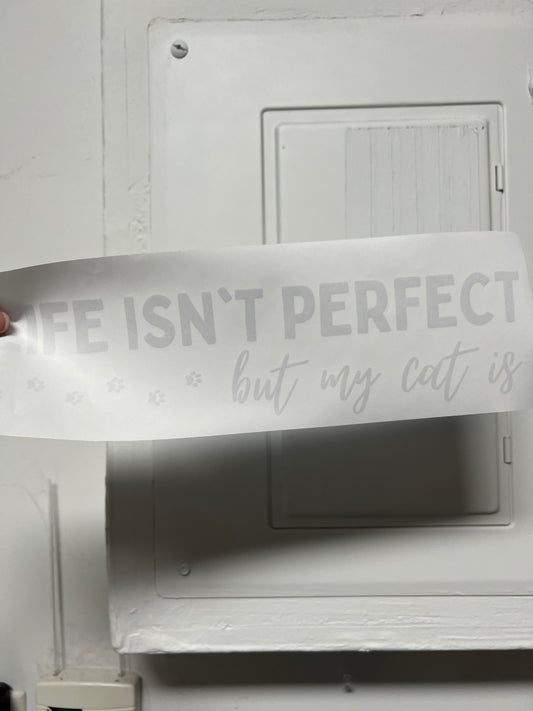 Life isn’t perfect but my cat is