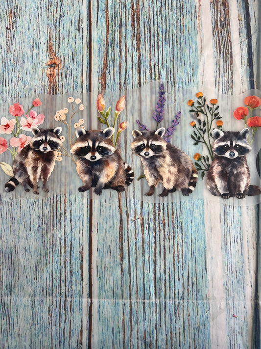 Raccoons