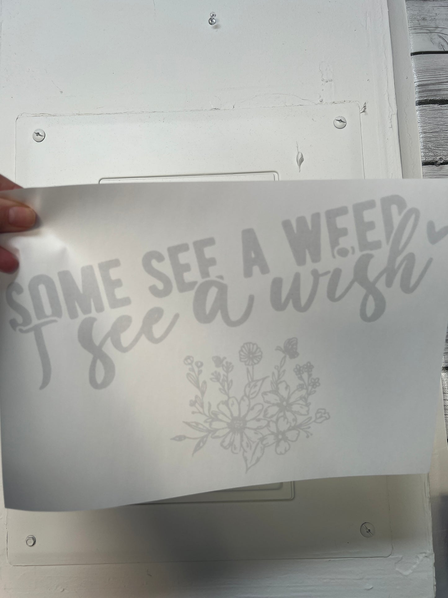 Some see a weed. I see a wish. (Black wring )