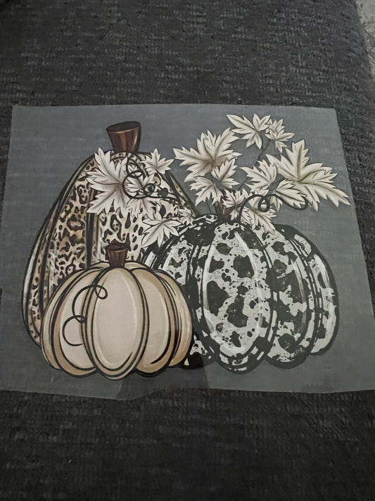 Cream pumpkins