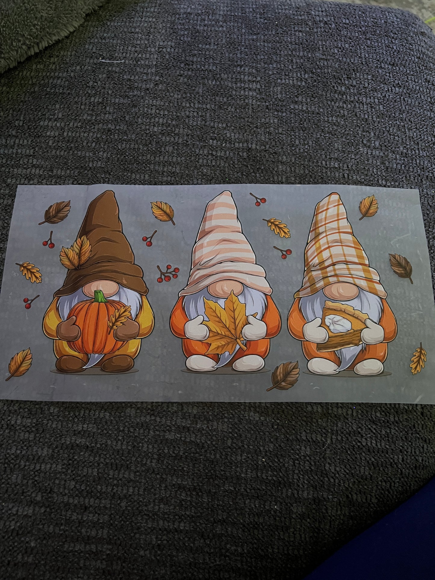 Fall gnomes