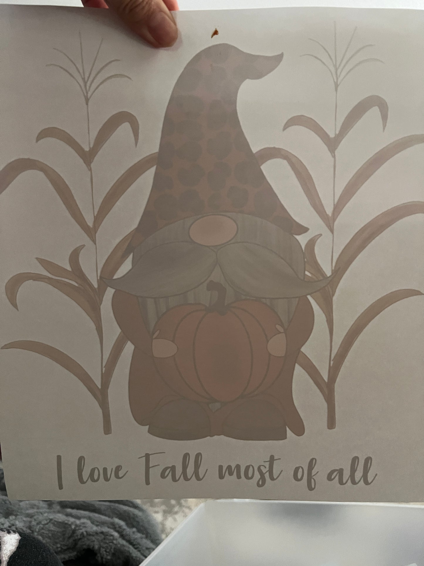 I love fall most of all gnome.