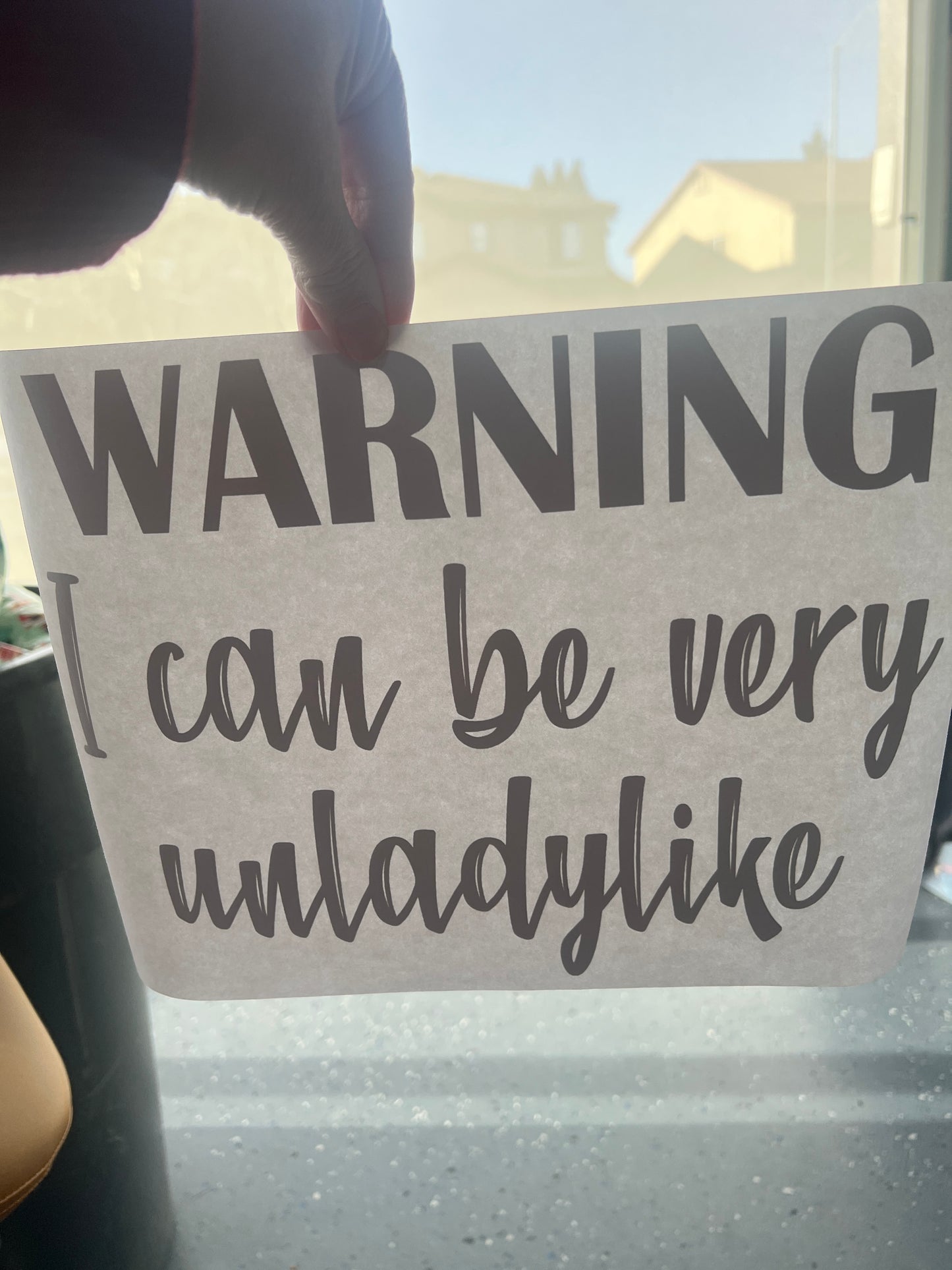 Warning i can be very unladylike