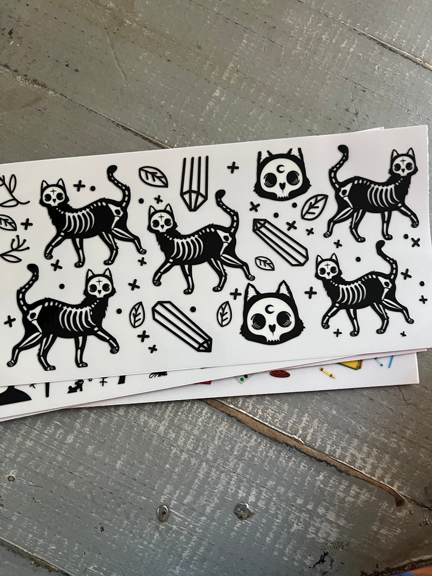 Black skeleton cats