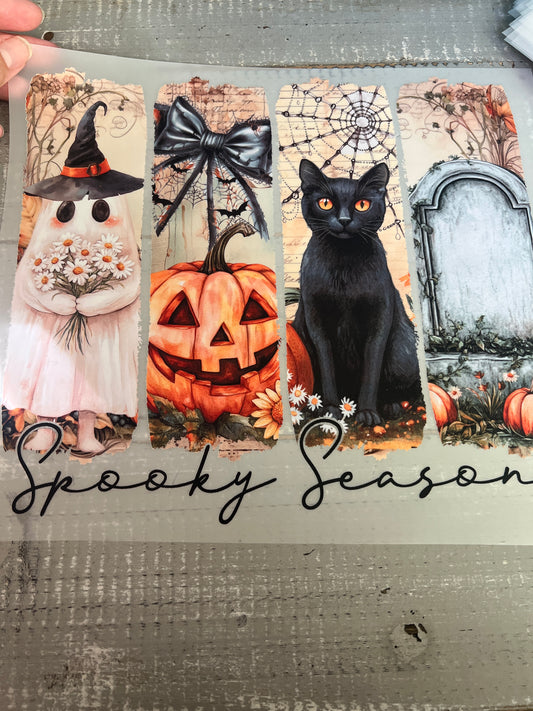 Spooky season ghost cat