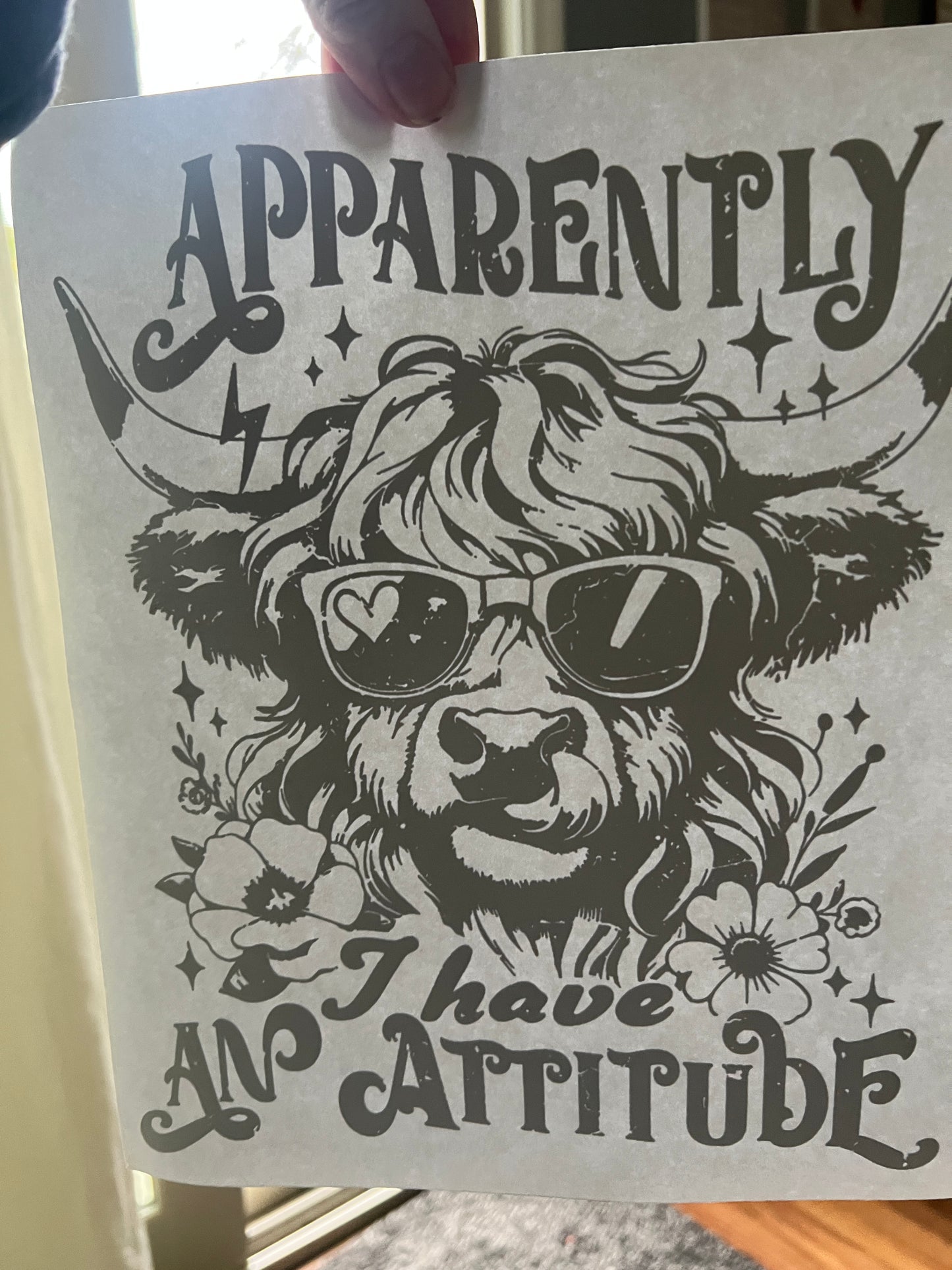 Apparently i have an attitude