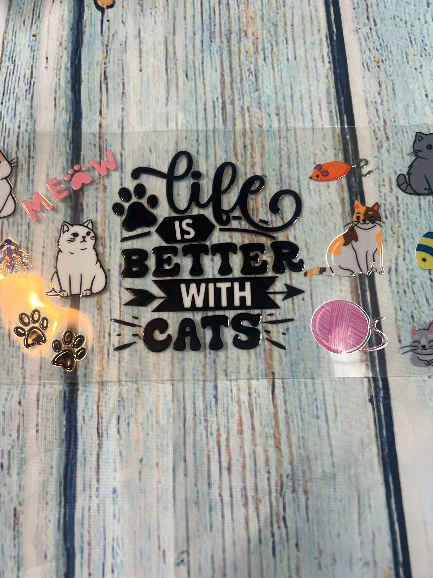 Life is better with cats